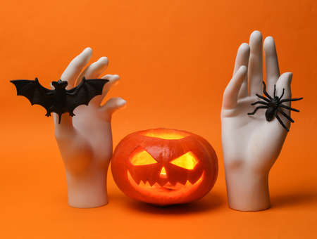 Halloween pumpkin head jack lantern with burning candles and stand hands with bat and spider on...