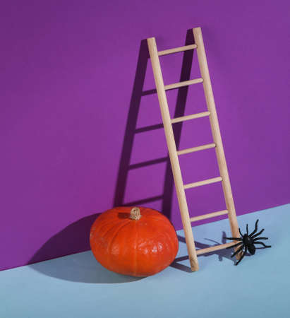 Wooden ladder with pumpkin and spider on purple background. Minimal halloween layout.の写真素材