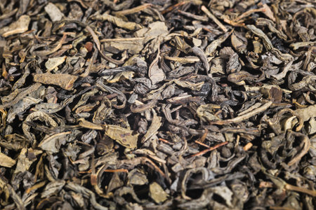 Dry green tea leaves close up, natural backgroundの写真素材