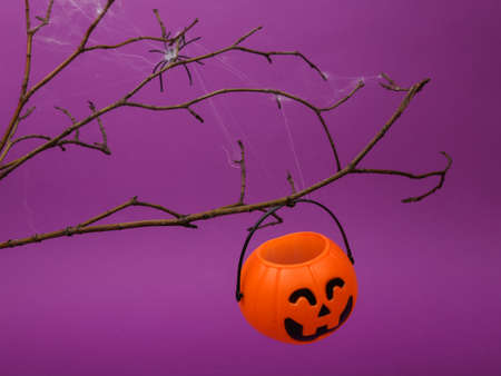 Halloween candy bucket weighs on a dry branch