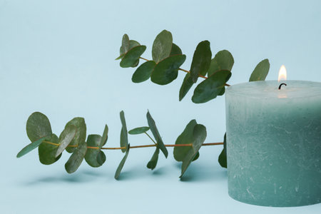 Flaming candle with a branch of eucalyptus on a blue backgroundの写真素材