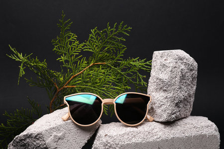 Sunglasses on stone with fir branches. fashion concept. Modern still life, product photo. Aesthetic minimalist composition.の写真素材