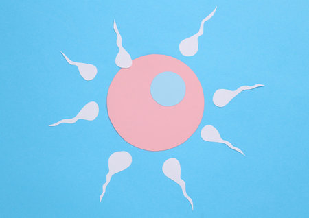 Ovulation, conception, reproductive concept. Spermatozoa with an egg cell on a blue backgroundの写真素材