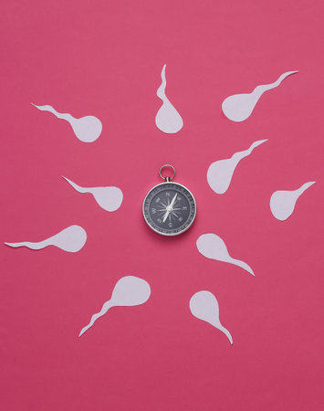 Human male spermatozoa with compass on a blue background. Reproduction system, ovulationの写真素材