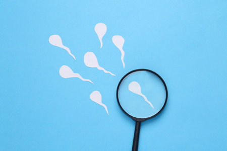 Diagnosis of male reproductive function. Spermatozoa, male seed with a magnifying glass on a blue backgroundの写真素材