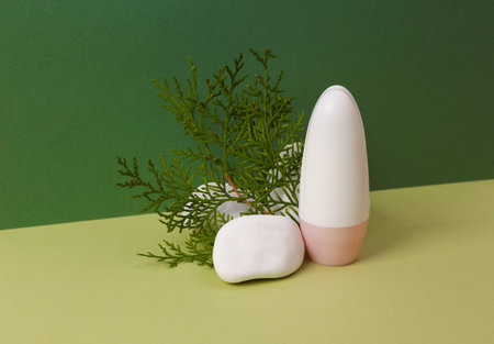 Aesthetic beauty or fashion still life. Antiperspirant stick with stone and fir twig on two tone green background. natural cosmeticsの写真素材