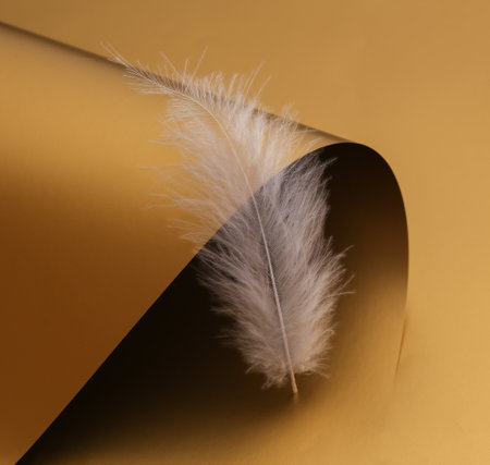 Soft feather on a luxurious golden backgroundの写真素材