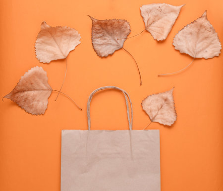 Paper bag for shopping, fallen autumn leaves on orange background. Autumn shopping, sale, Top view, minimalismの写真素材