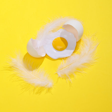 Creative layout of fried egg with broken shell and feathers on bright yellow background. visual...