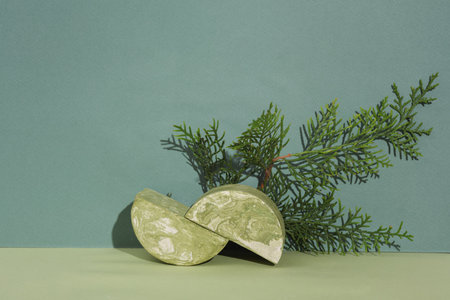 Minimalistic scene with geometric and shaped stones and a sprig of fir on a green background. creative still lifeの写真素材