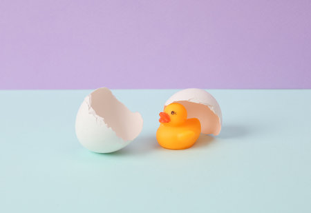 creative layout. Rubber duck with eggshell on two tone pastel background. concept pop. Minimal still...