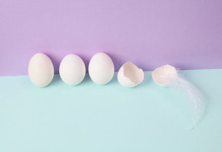 creative layout. Feather with eggshell on two tone pastel background. concept pop. Minimal food...
