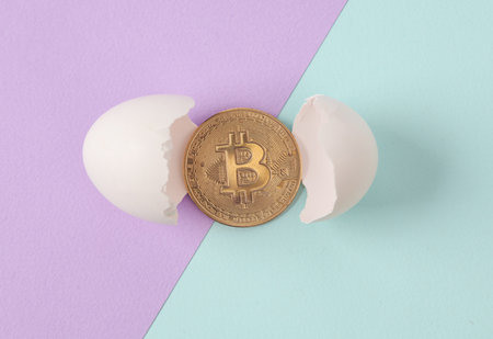 creative layout. Bitcoin with eggshell on two tone pastel background. concept pop. Minimal business...