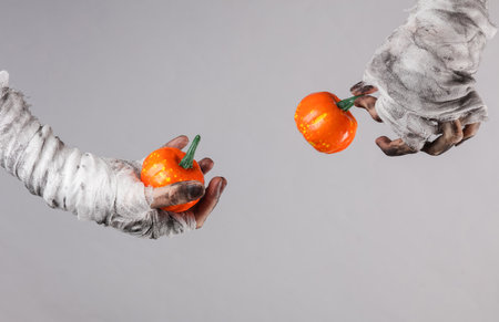 Mummy hands wrapped in bandage holds decorative pumpkins isolated on gray background. halloween conceptの写真素材