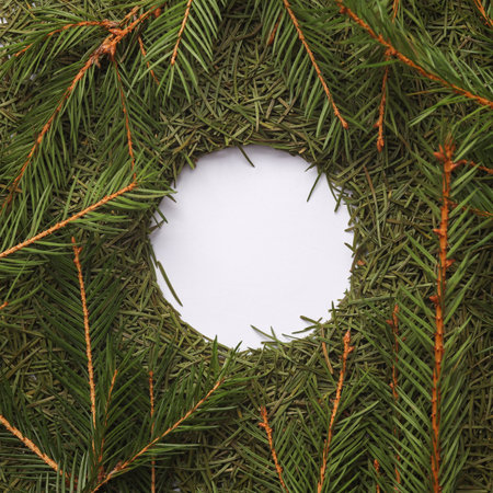 Round made of Christmas tree needles and twigs with white empty spaceの写真素材