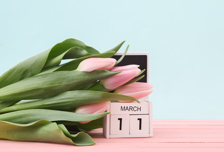 Block wooden calendar with the date March 11 and tulips on a pastel background. spring composition