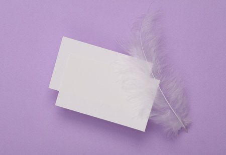 Two white Blank business cards for branding with feather on purple background.の写真素材