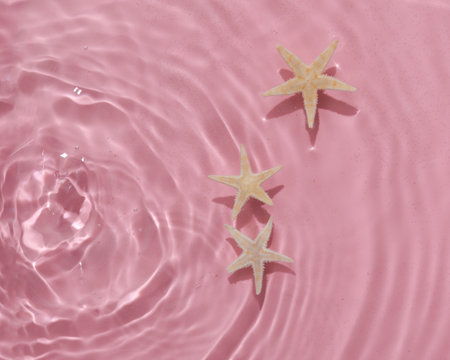 Sea stars in pink water with shadows. top viewの写真素材