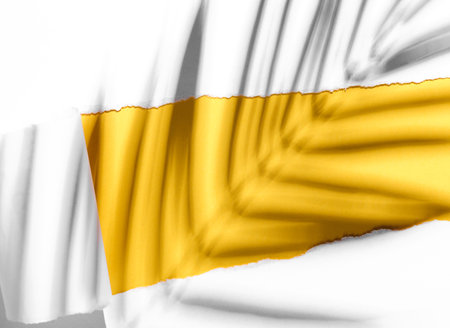 Torn paper space with palm leaf shadow. creative mockupの写真素材