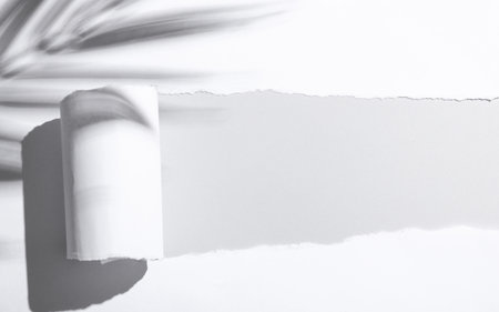 Torn paper space with palm leaf shadow. creative mockupの写真素材