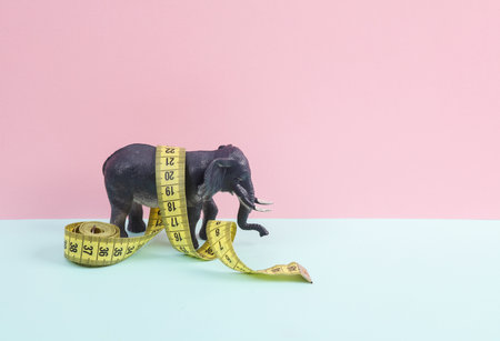 Toy elephant with measuring tape on a pink blue background. Diet, weight loss concept
