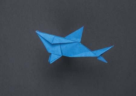 Origami shark on a gray backgroundの写真素材