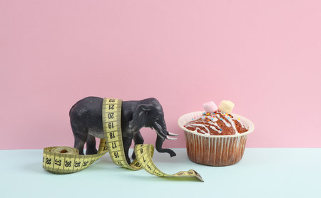 Toy elephant with a muffin and a measuring tape on a pink blue background. Diet, weight loss conceptの写真素材