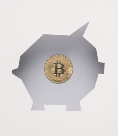 White paper cut out piggy bank shaped hole with bitcoinの写真素材