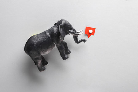 toy elephant with Social media like on gray background. creative layoutの写真素材