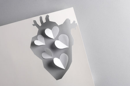 Paper-cut hole in the shape of an anatomical heart and a lot of hearts on a gray background. Creative idea, love conceptの写真素材