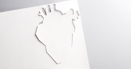 Anatomical heart cut out of paper on a gray background. heart health concept
