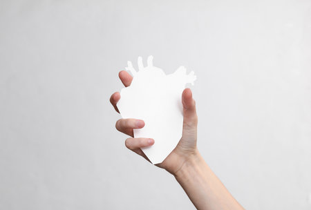 Woman's hand holds paper cut white anatomical heart on a gray backgroundの写真素材