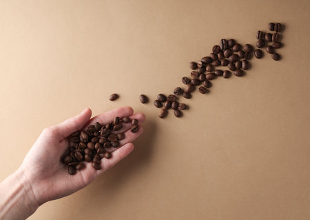 Roasted coffee beans in the palm of a female hand on a brown backgroundの写真素材