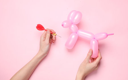 Female hands hold a balloon in the shape of a dog and darts on a pink backgroundの写真素材