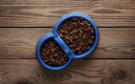 Double bowl of cat food on wooden background. top viewの写真素材