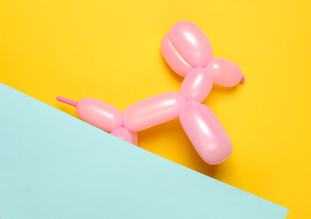 Pink balloon in the shape of a dog on a blue yellow background. top viewの写真素材