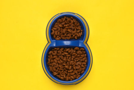 Double bowl of cat food on yellow background. top viewの写真素材
