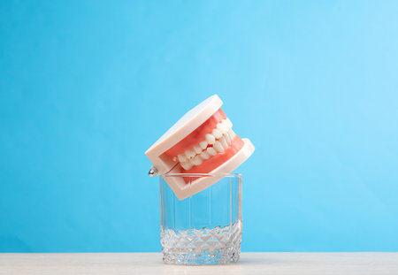 human jaw model in glass on blue backgroundの写真素材