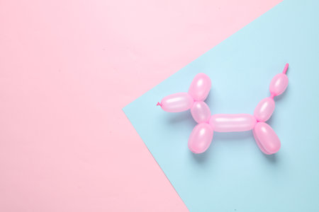 Inflatable balloon dog on blue-pink background. Creative layoutの写真素材