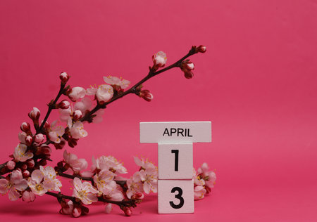 Wooden block calendar with date april 13 and peach blossom branch on pink background. spring time, planning, holidayの写真素材