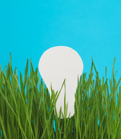 Silhouette of a paper light bulb among green grass on a blue background. Green energy, eco conceptの写真素材