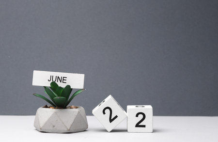 White block calendar with the date June 22 and decorative plant in pot on white-gray background....