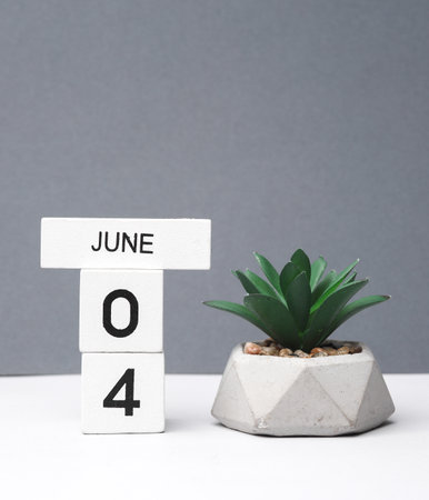 White block calendar with the date June 4 and decorative plant in pot on white-gray background....