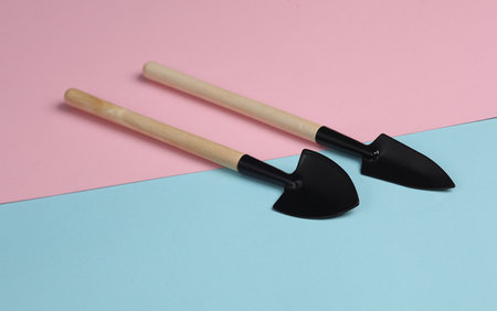 Gardening tools shovels for home plant on pink blue background.