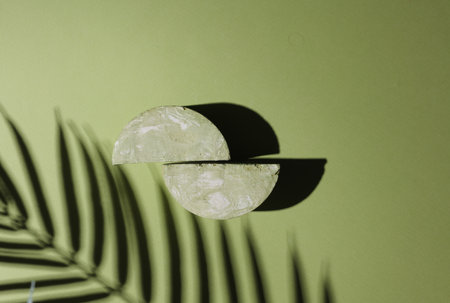 Abstract scene, geometric plaster semicircles with palm leaf shadow on green backgroundの写真素材