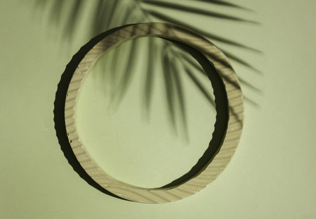 Geometry plaster ring on green background with palm leaf shadow. Abstract layoutの写真素材