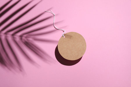 Round platform on pink background with palm leaf shadow. Creative showcase.. Top view