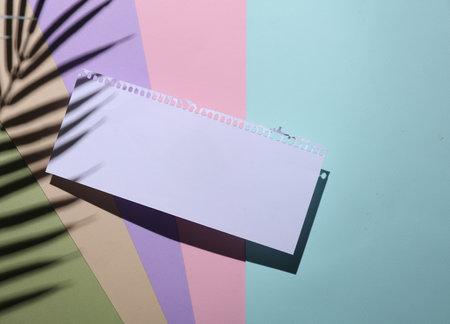 Blank paper sheet on a pastel background with palm leaf shadow. Creative layout.の写真素材
