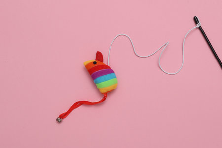 Toy mouse on a rope, pink background. Cat toys for active gameの写真素材