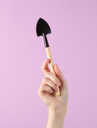 Hand holding mini gardening tool (shovel) on purple backgroundの写真素材